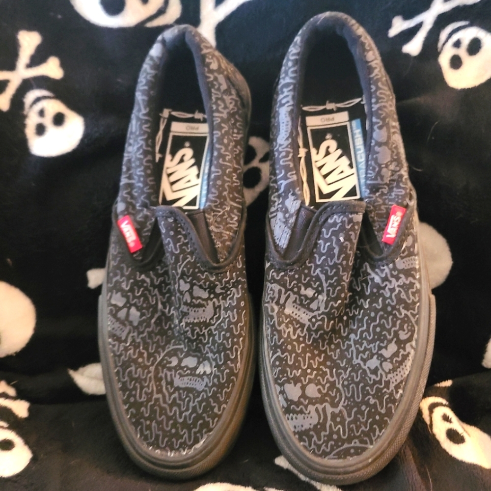 Rare Skull Vans Pro